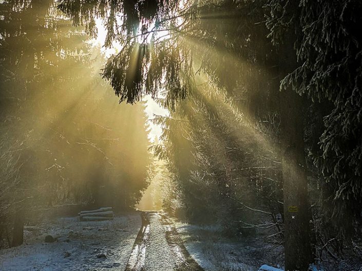 Winterlandschaft Kühhude